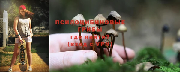 прущие крисы Володарск