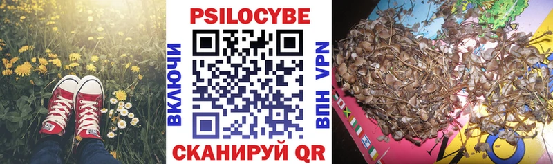 Купить где  Усолье  Галлюциногенные грибы мицелий 